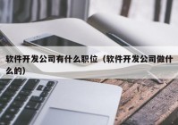 软件开发公司有什么职位（软件开发公司做什么的）