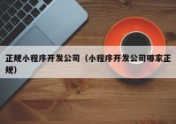 正规小程序开发公司（小程序开发公司哪家正规）