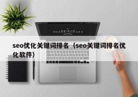 seo优化关键词排名（seo关键词排名优化软件）