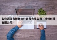 名称武汉市博畅软件开发有限公司（博畅科技有限公司）