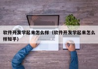 软件开发学起来怎么样（软件开发学起来怎么样知乎）