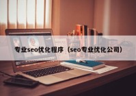 专业seo优化程序（seo专业优化公司）