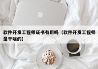 软件开发工程师证书有用吗（软件开发工程师是干啥的）